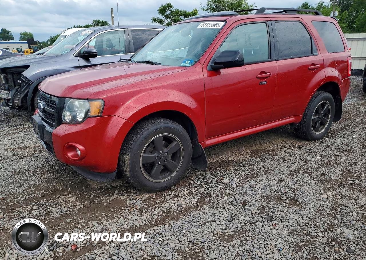 2010 Ford Escape Xlt