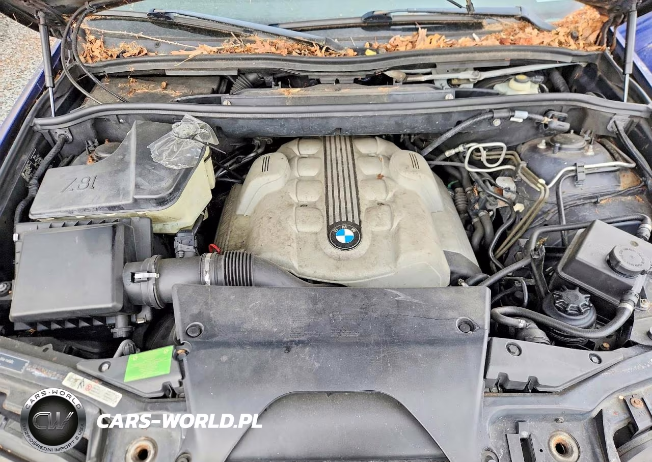 2006 BMW X5 4.8Is VIN:5UXFA93536LE84399 - 12