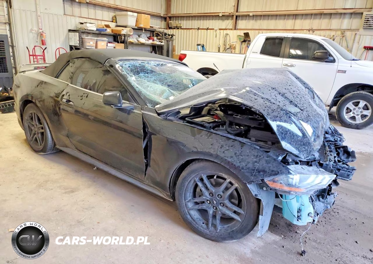 2023 Ford Mustang VIN:1FATP8UH4P5103447 - 4