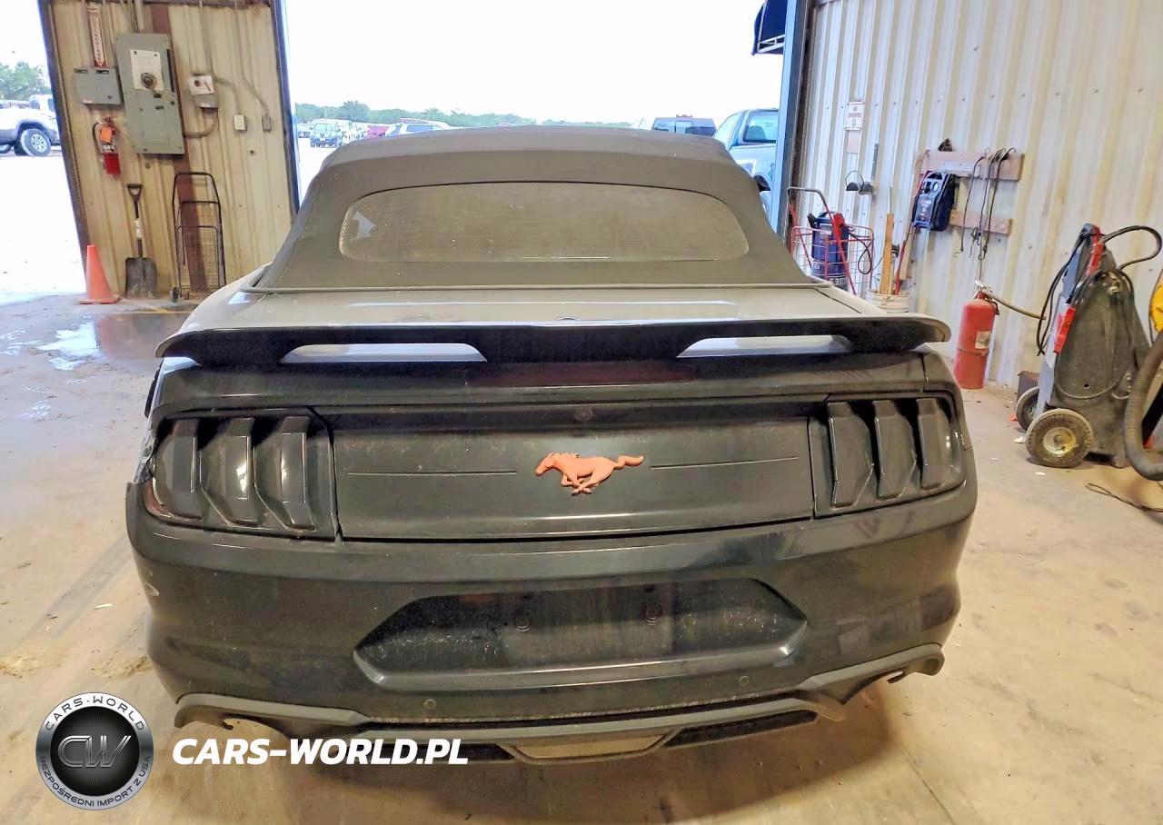 2023 Ford Mustang VIN:1FATP8UH4P5103447 - 6