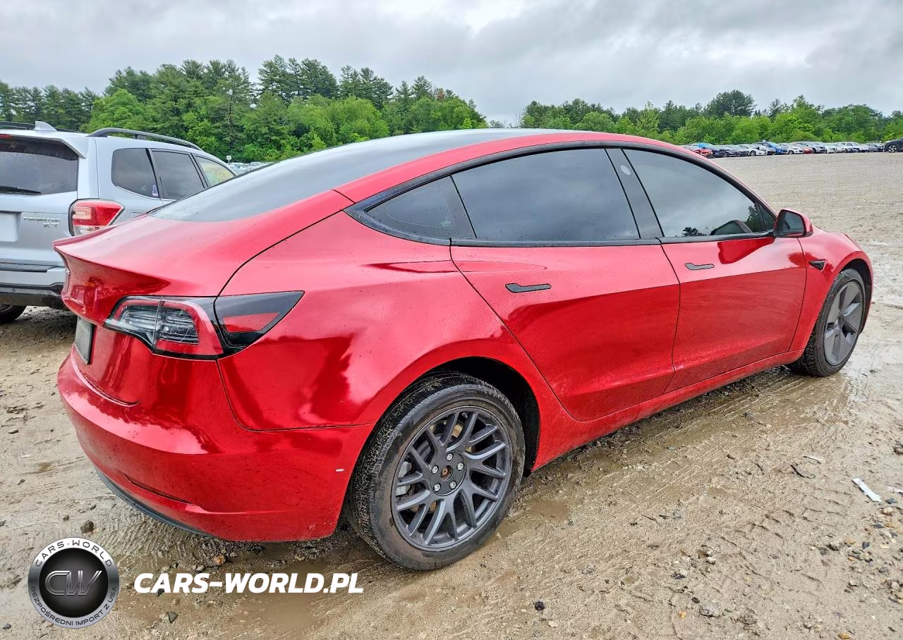 2023 Tesla Model 3 VIN:5YJ3E1EA3PF431725 - 3