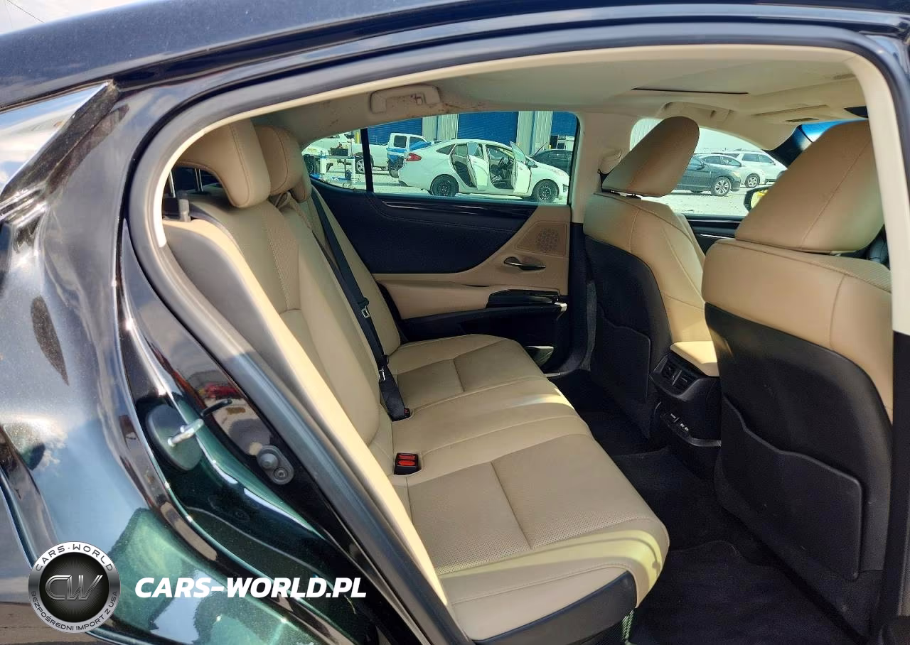2021 Lexus Es 300H VIN:58ADA1C13MU001378 - 10