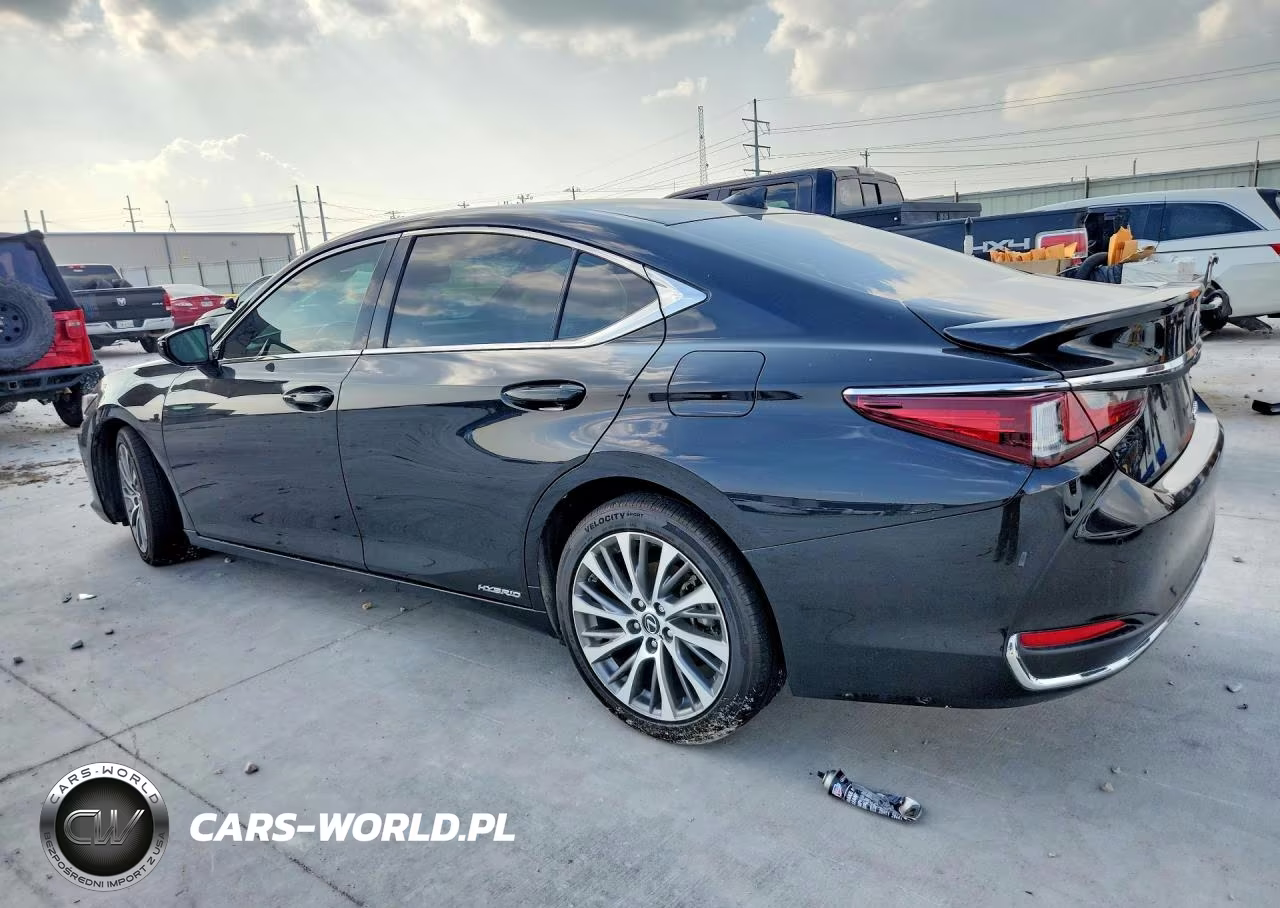 2021 Lexus Es 300H VIN:58ADA1C13MU001378 - 2