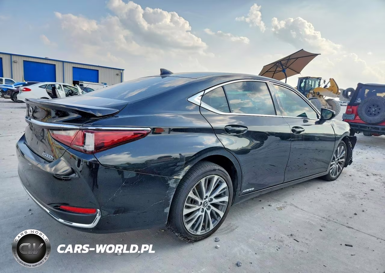 2021 Lexus Es 300H VIN:58ADA1C13MU001378 - 3