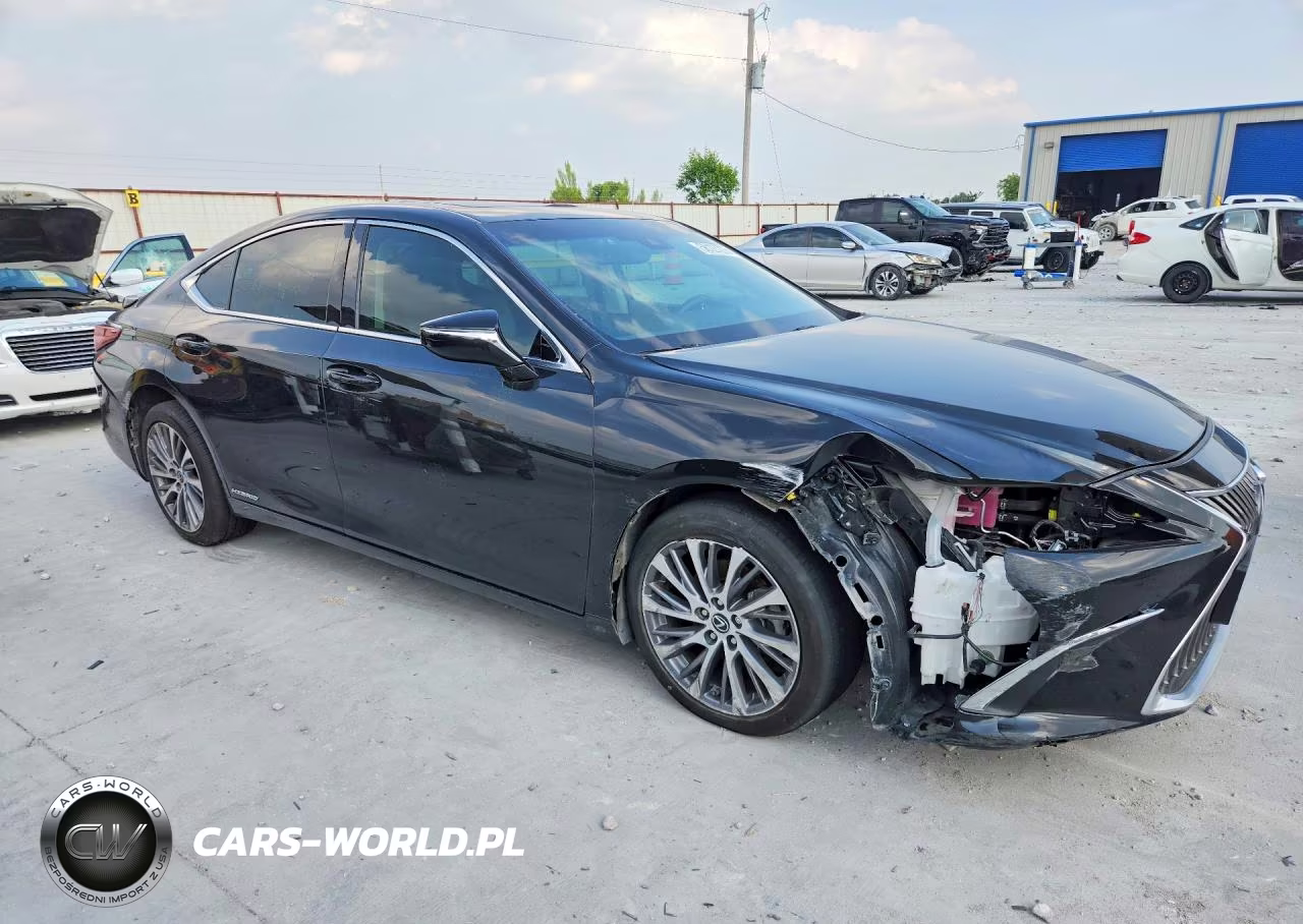 2021 Lexus Es 300H VIN:58ADA1C13MU001378 - 4
