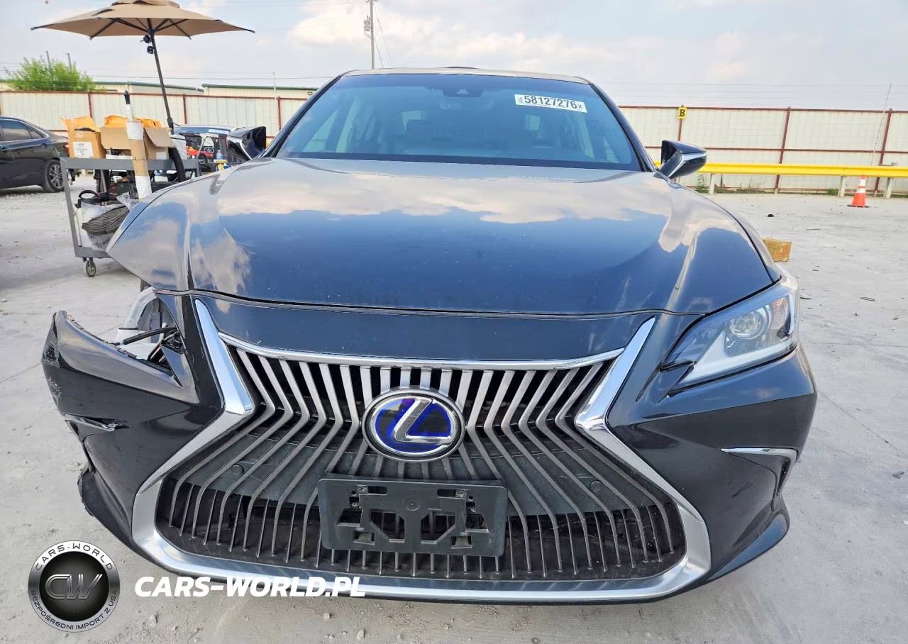 2021 Lexus Es 300H VIN:58ADA1C13MU001378 - 5