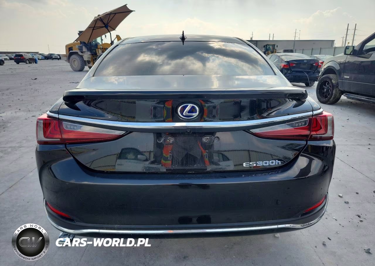 2021 Lexus Es 300H VIN:58ADA1C13MU001378 - 6