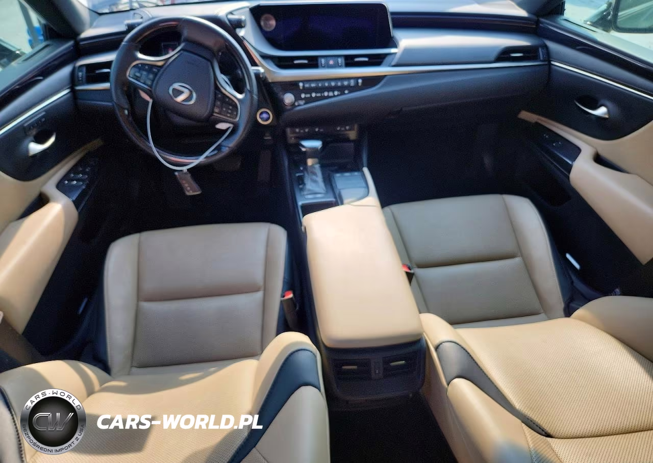 2021 Lexus Es 300H VIN:58ADA1C13MU001378 - 8