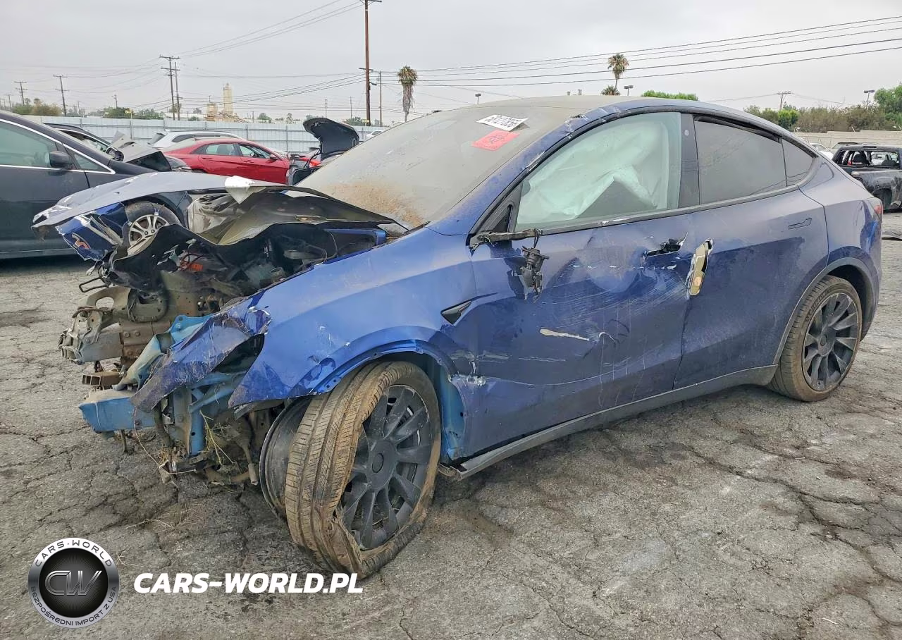 2020 Tesla Model Y