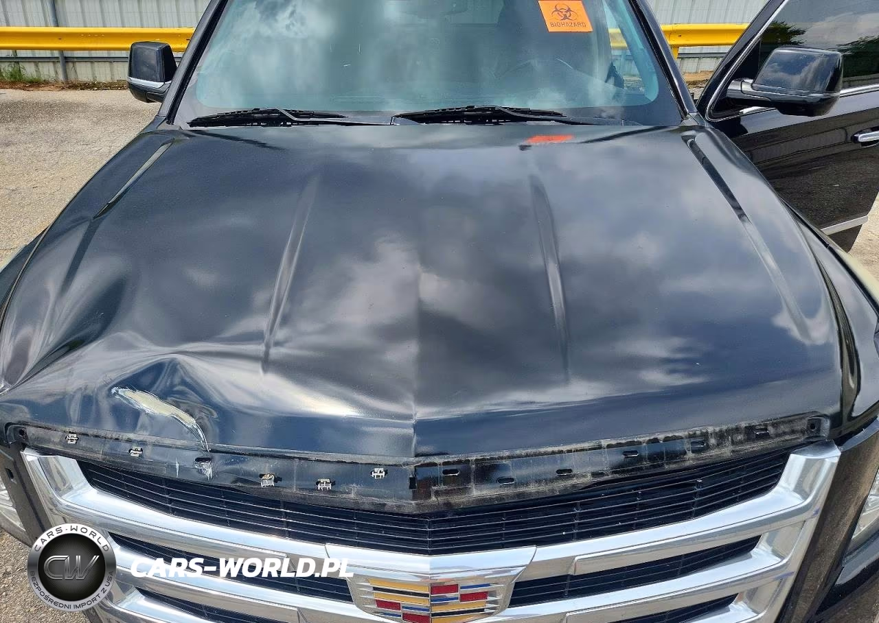 2015 Cadillac Escalade Premium VIN:1GYS3NKJ4FR628726 - 12