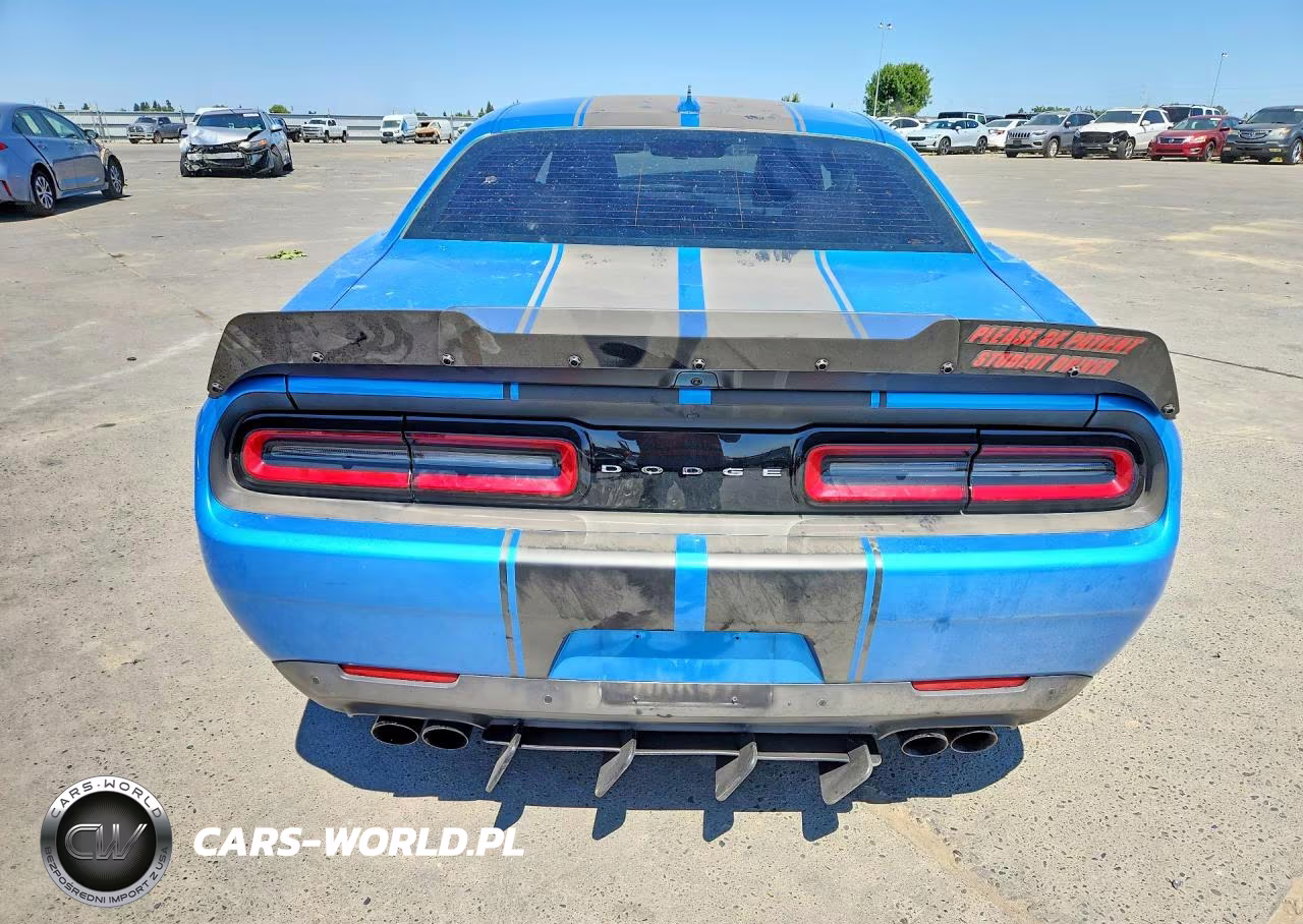 2019 Dodge Challenger Srt Hellcat Redeye VIN:2C3CDZL97KH638295 - 6