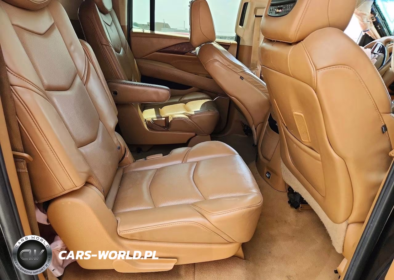 2015 Cadillac Escalade Esv Platinum VIN:1GYS4UKJ4FR634131 - 10