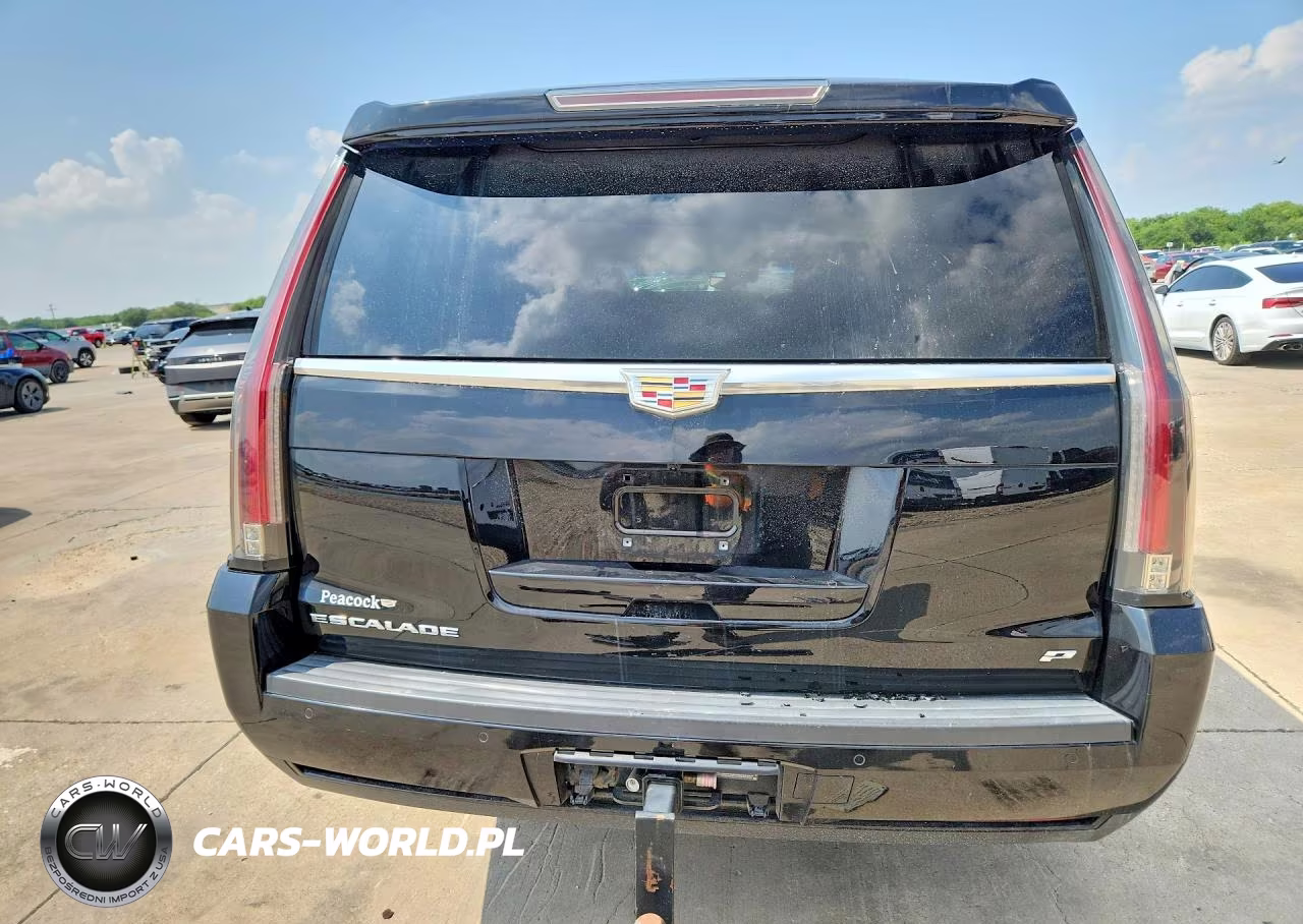 2015 Cadillac Escalade Esv Platinum VIN:1GYS4UKJ4FR634131 - 6
