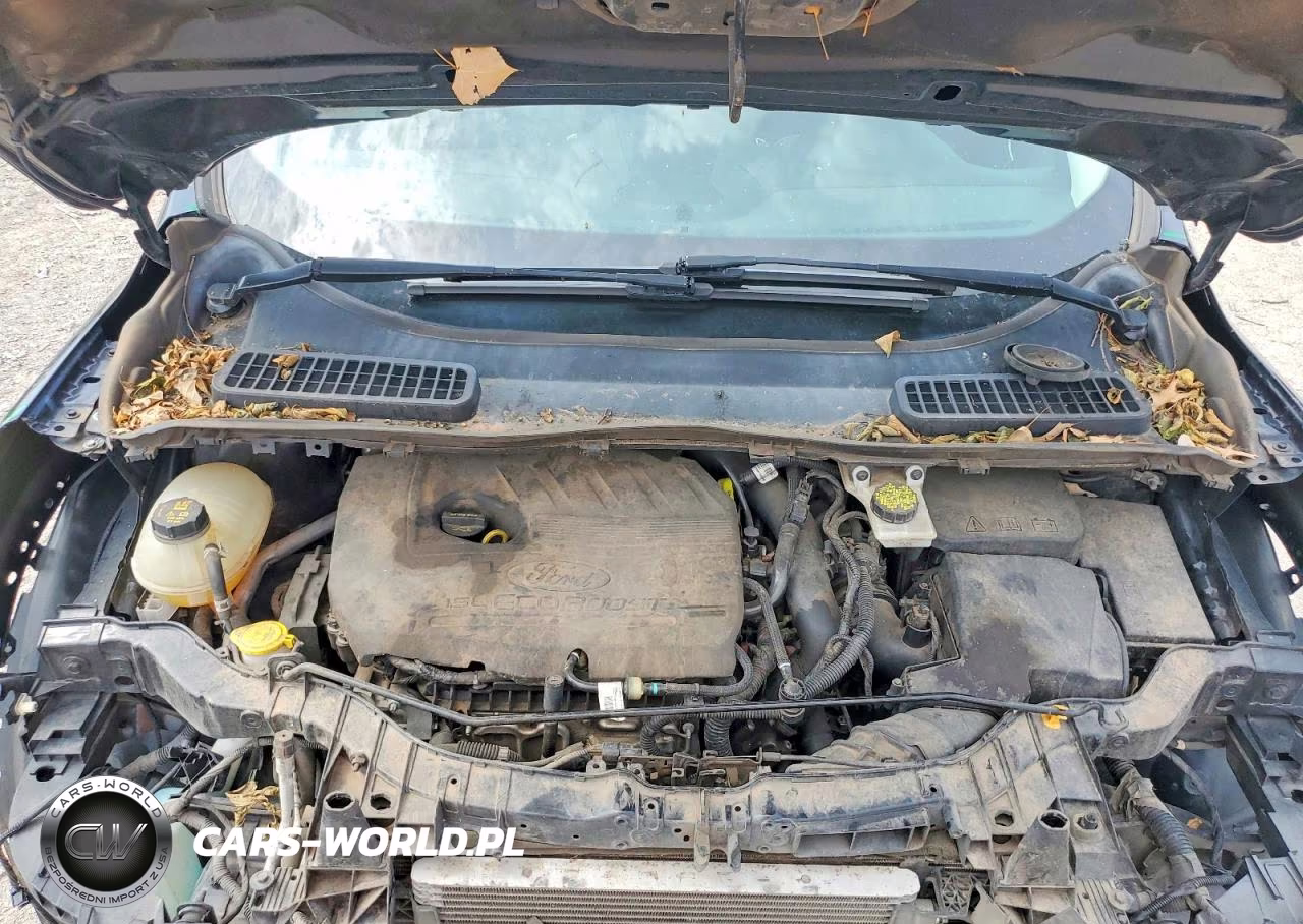 2017 Ford Escape Se VIN:1FMCU0GD9HUB28490 - 11