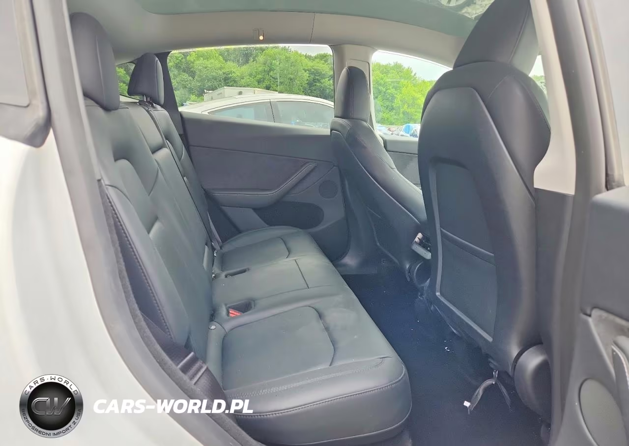2024 Tesla Model Y VIN:7SAYGDEEXRA265744 - 10