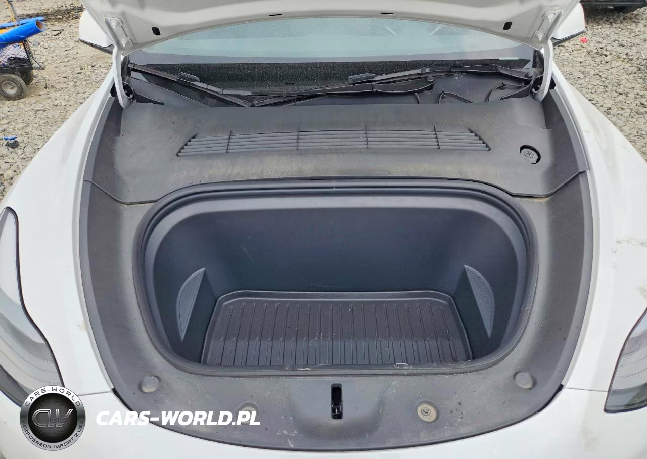 2024 Tesla Model Y VIN:7SAYGDEEXRA265744 - 11