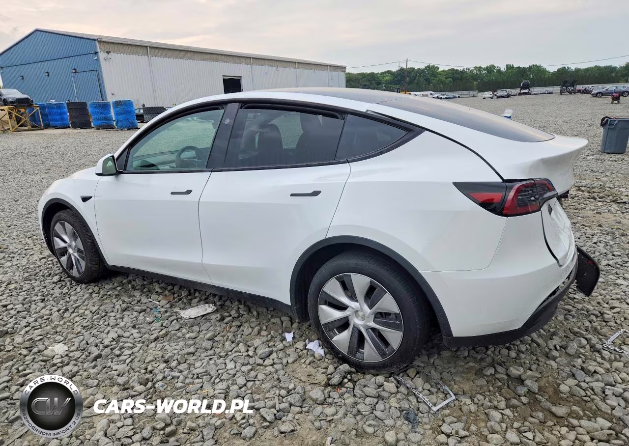2024 Tesla Model Y VIN:7SAYGDEEXRA265744 - 2