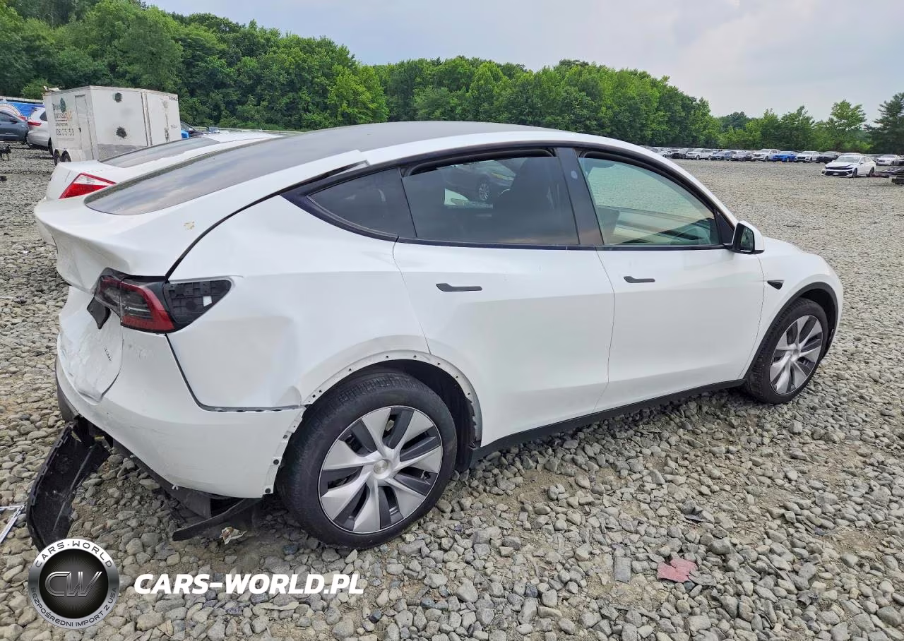 2024 Tesla Model Y VIN:7SAYGDEEXRA265744 - 3