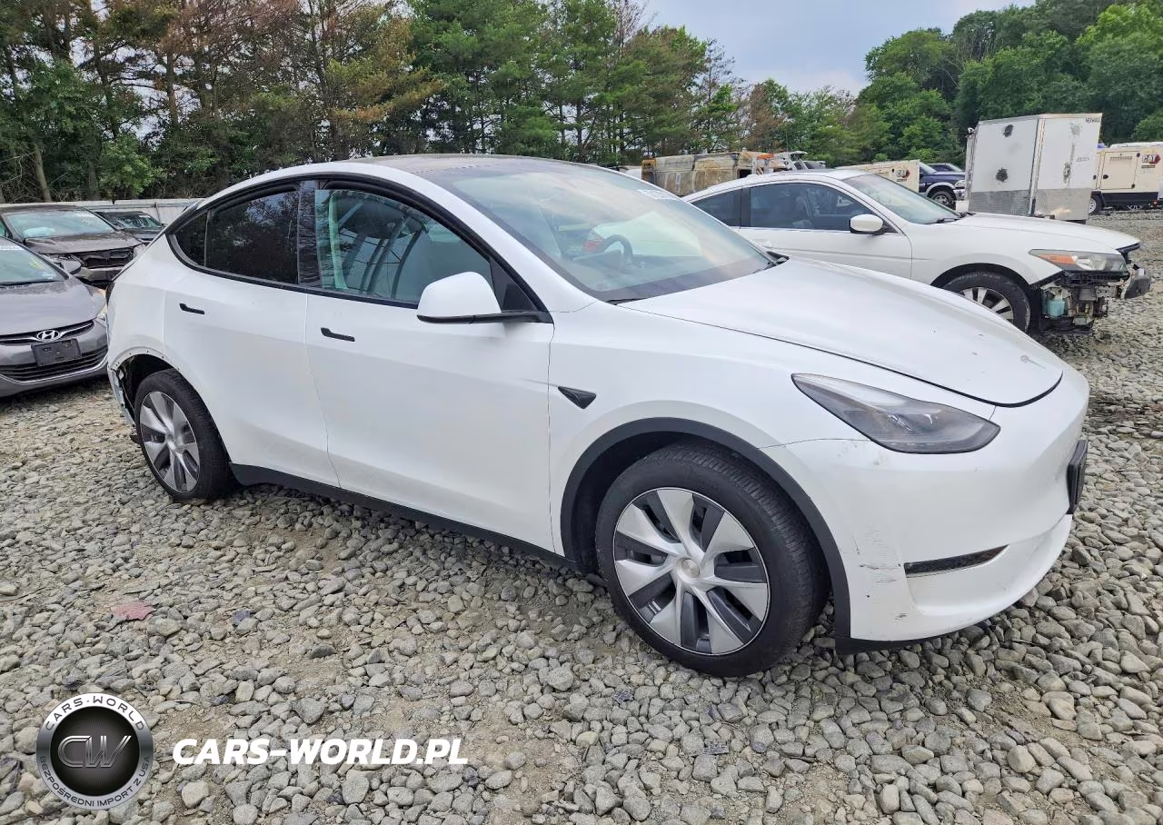 2024 Tesla Model Y VIN:7SAYGDEEXRA265744 - 4