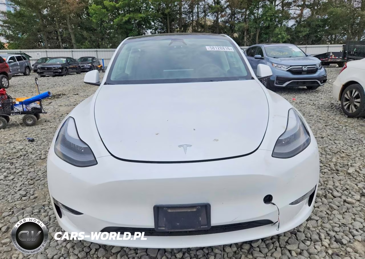 2024 Tesla Model Y VIN:7SAYGDEEXRA265744 - 5