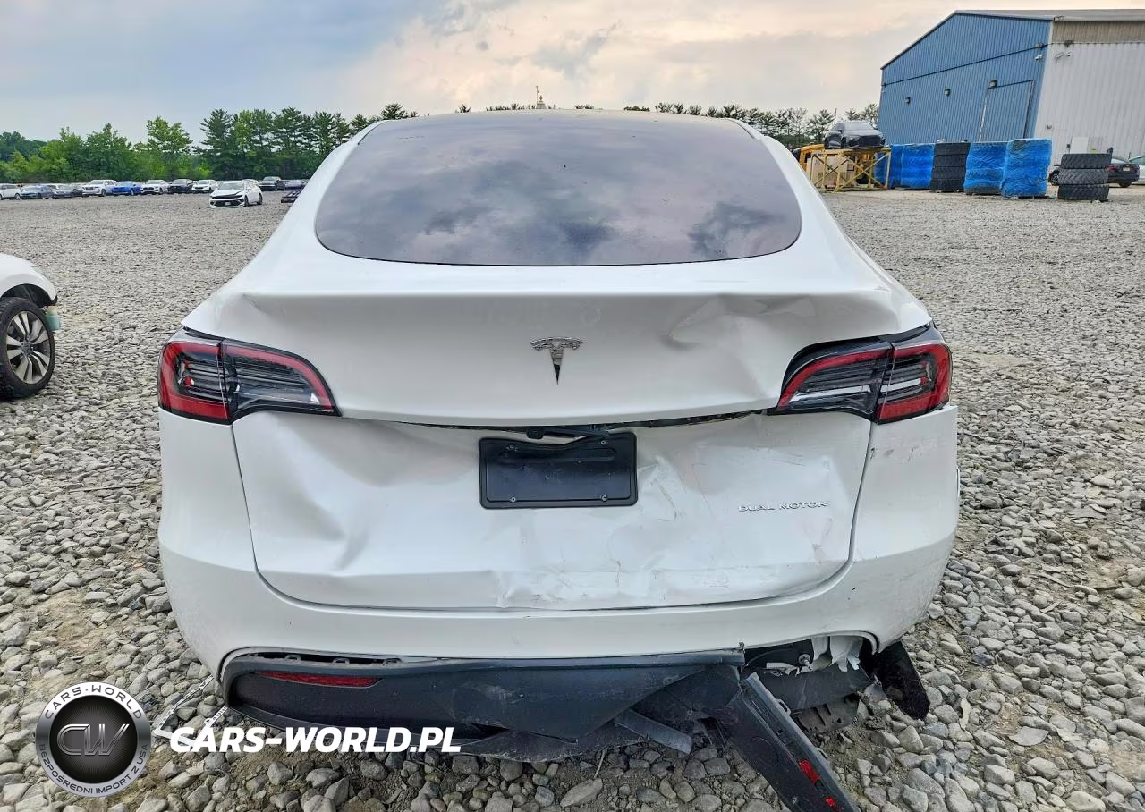 2024 Tesla Model Y VIN:7SAYGDEEXRA265744 - 6