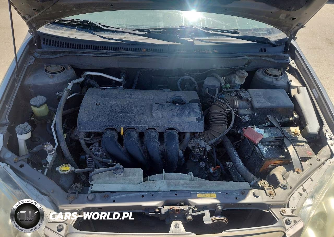 2004 Toyota Corolla S VIN:1NXBR32E64Z338246 - 11