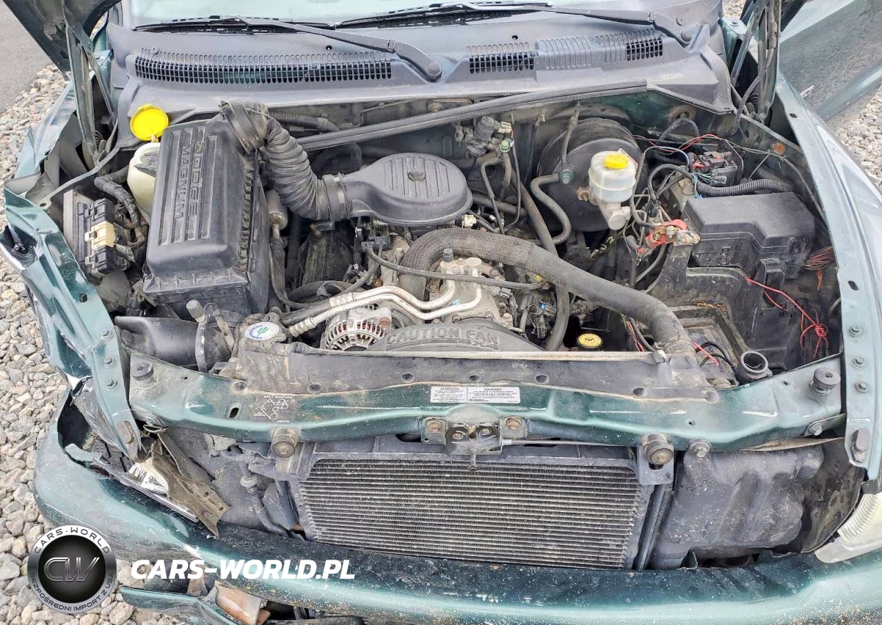 1999 Dodge Durango VIN:1B4HS28Z6XF511860 - 12
