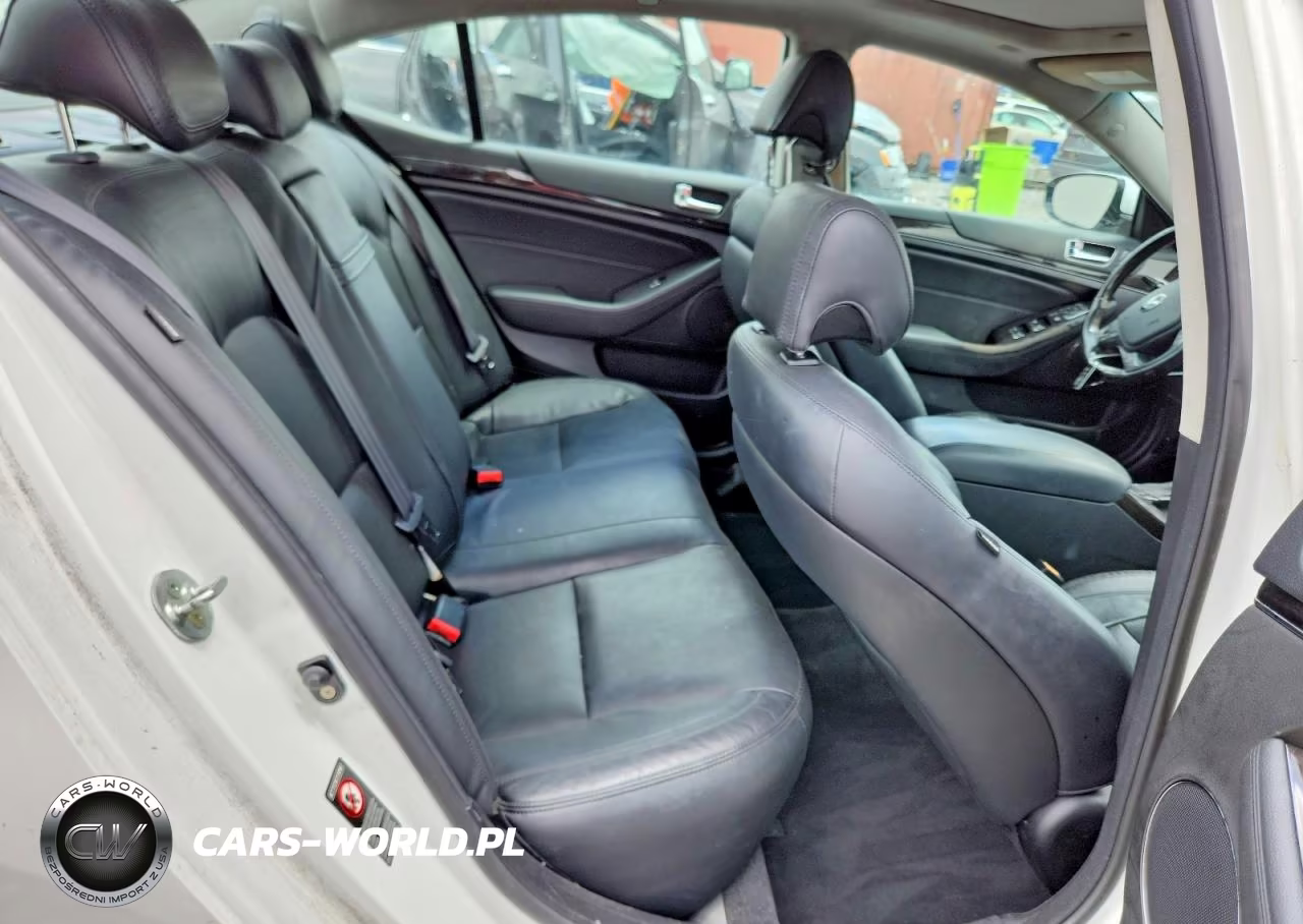 2015 Kia Cadenza Limited VIN:KNALN4D74F5194506 - 10