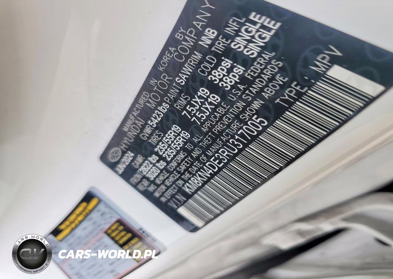 2024 Hyundai Ioniq 5 Sel VIN:KM8KN4DE3RU317005 - 13