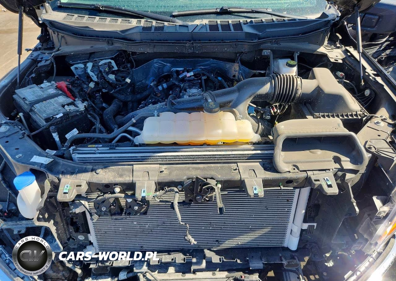 2025 Ford F150 Xlt VIN:1FTEW3KP3SKE55237 - 11