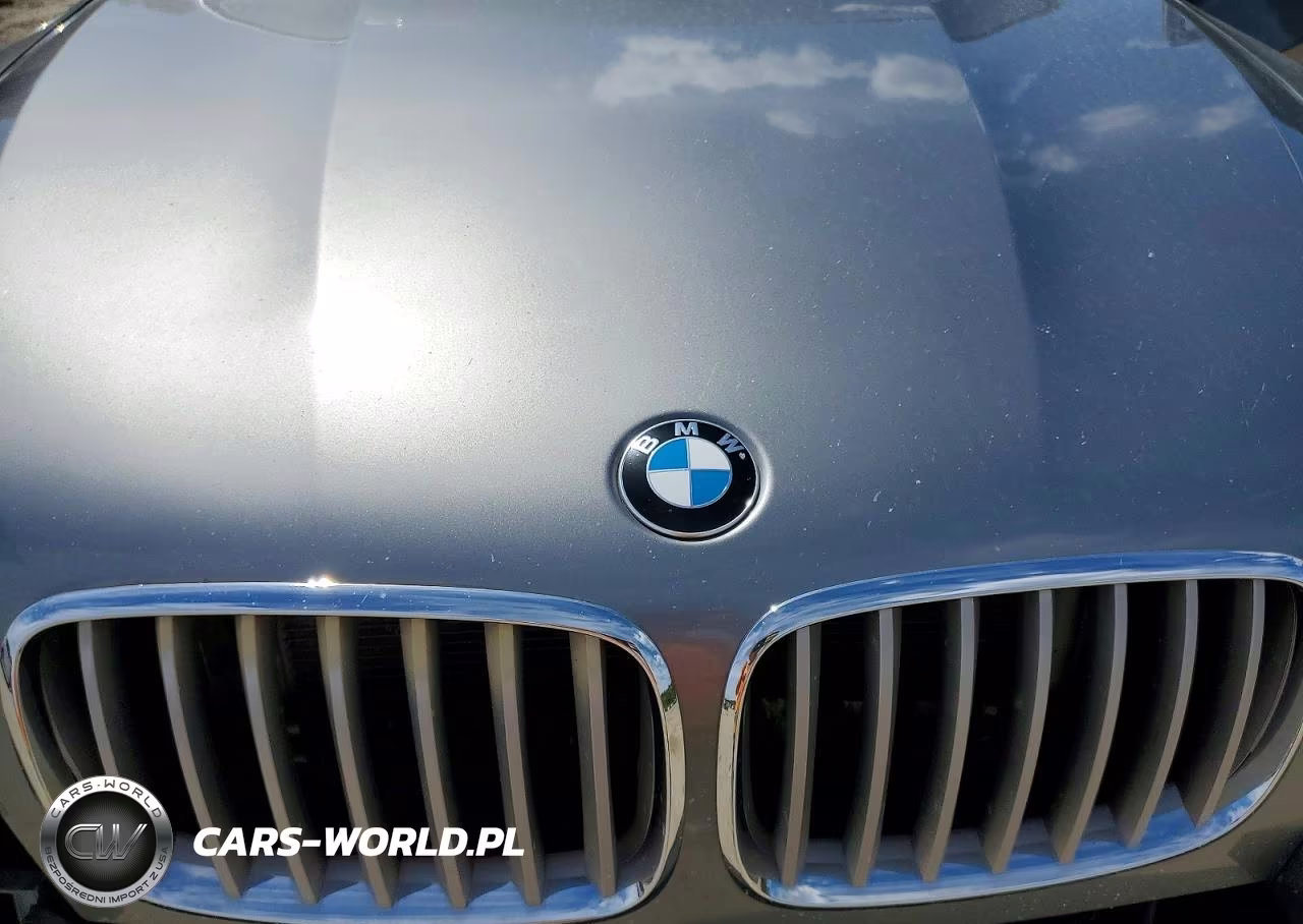 2007 BMW X5 3.0I VIN:4USFE43547LY79614 - 12