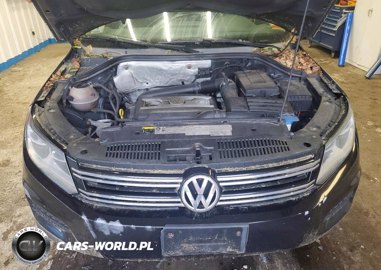 2014 Volkswagen Tiguan S VIN:WVGBV3AX2EW596073 - 11