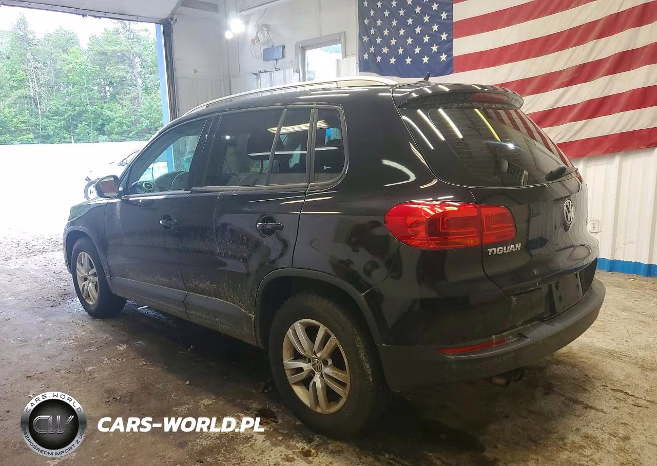 2014 Volkswagen Tiguan S VIN:WVGBV3AX2EW596073 - 2