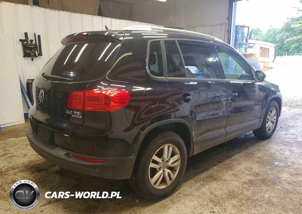 2014 Volkswagen Tiguan S VIN:WVGBV3AX2EW596073 - 3