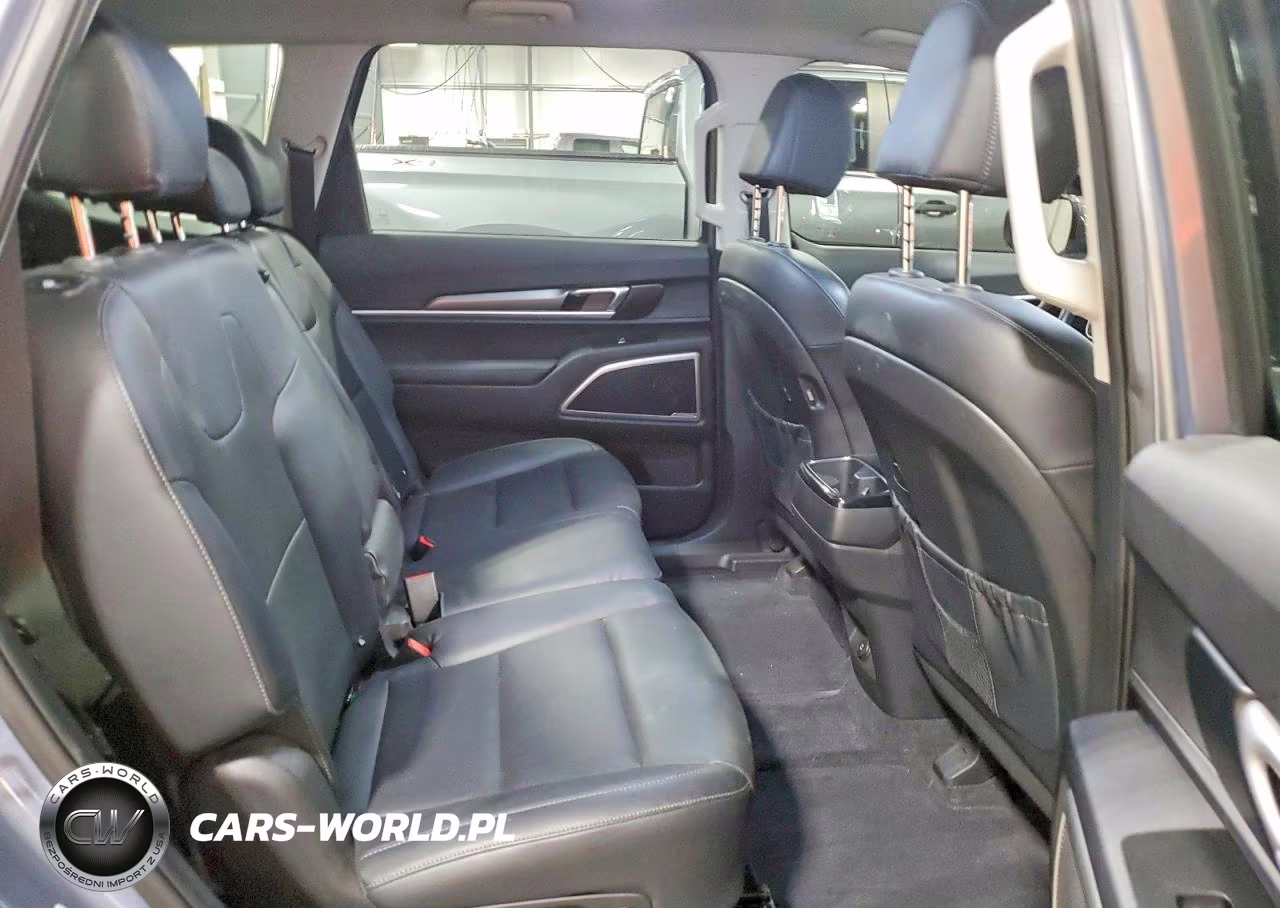 2022 Kia Telluride Lx VIN:5XYP2DHC6NG212725 - 10