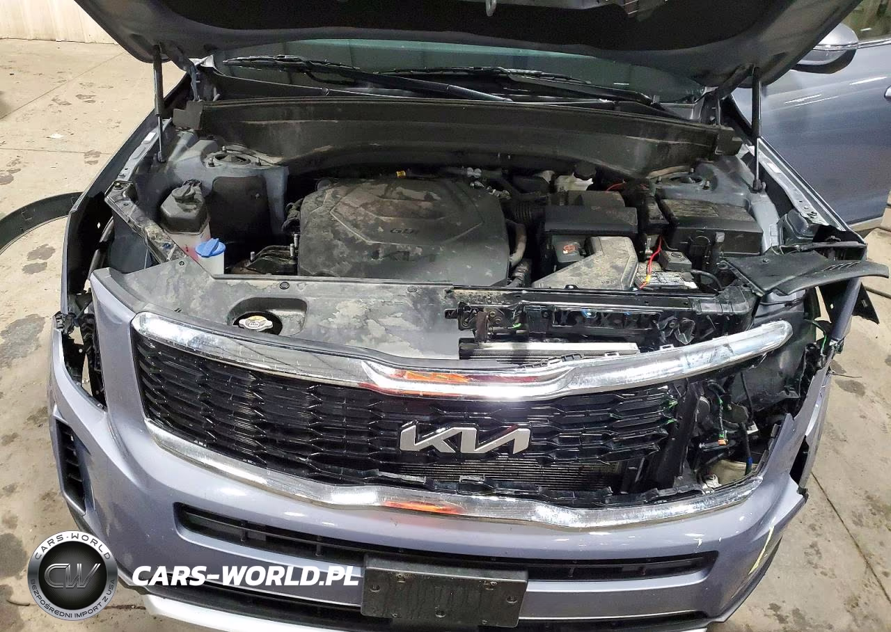 2022 Kia Telluride Lx VIN:5XYP2DHC6NG212725 - 11