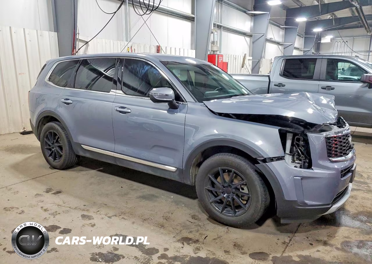 2022 Kia Telluride Lx VIN:5XYP2DHC6NG212725 - 4