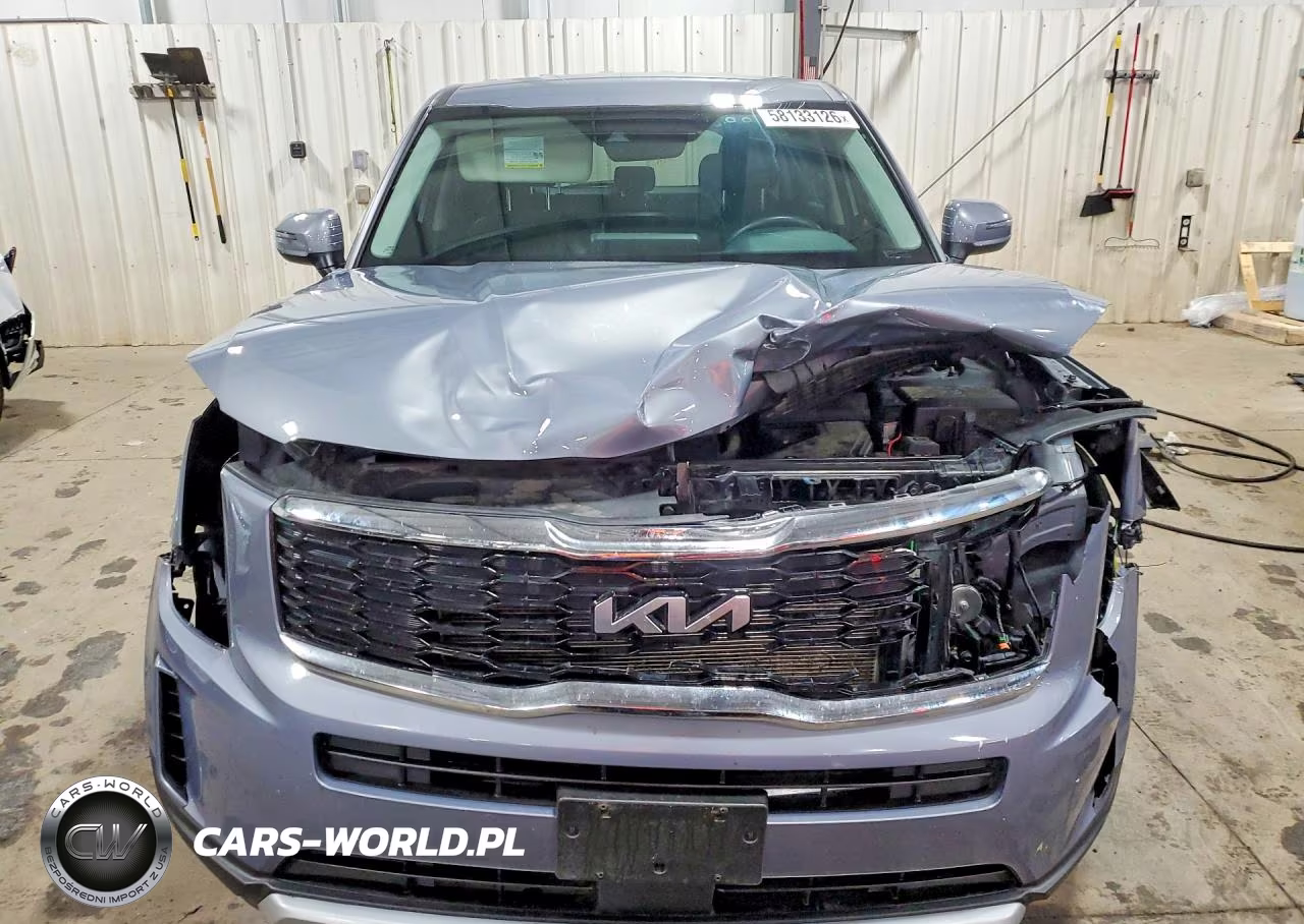 2022 Kia Telluride Lx VIN:5XYP2DHC6NG212725 - 5