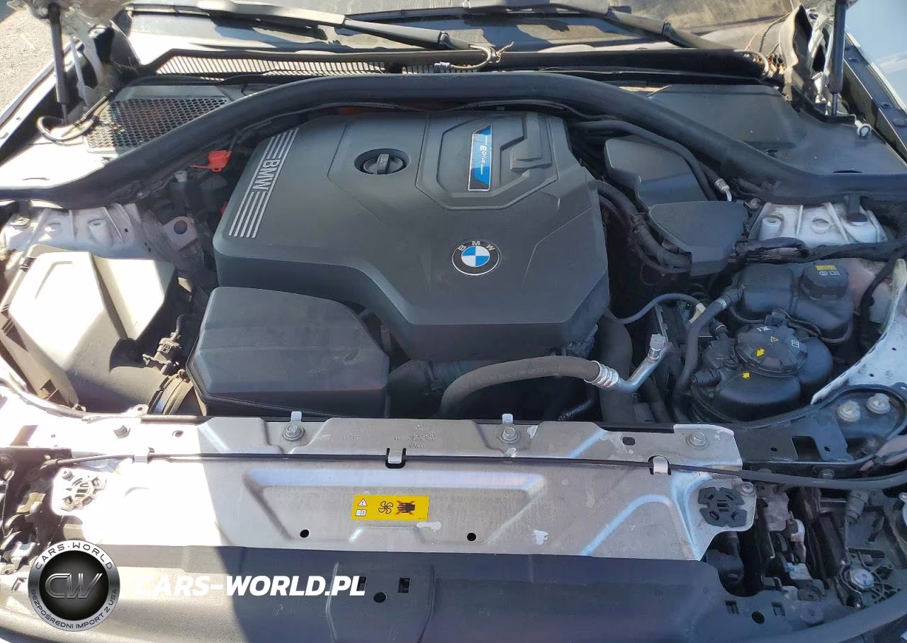 2021 BMW 330E VIN:3MW5P7J01M8C11435 - 11