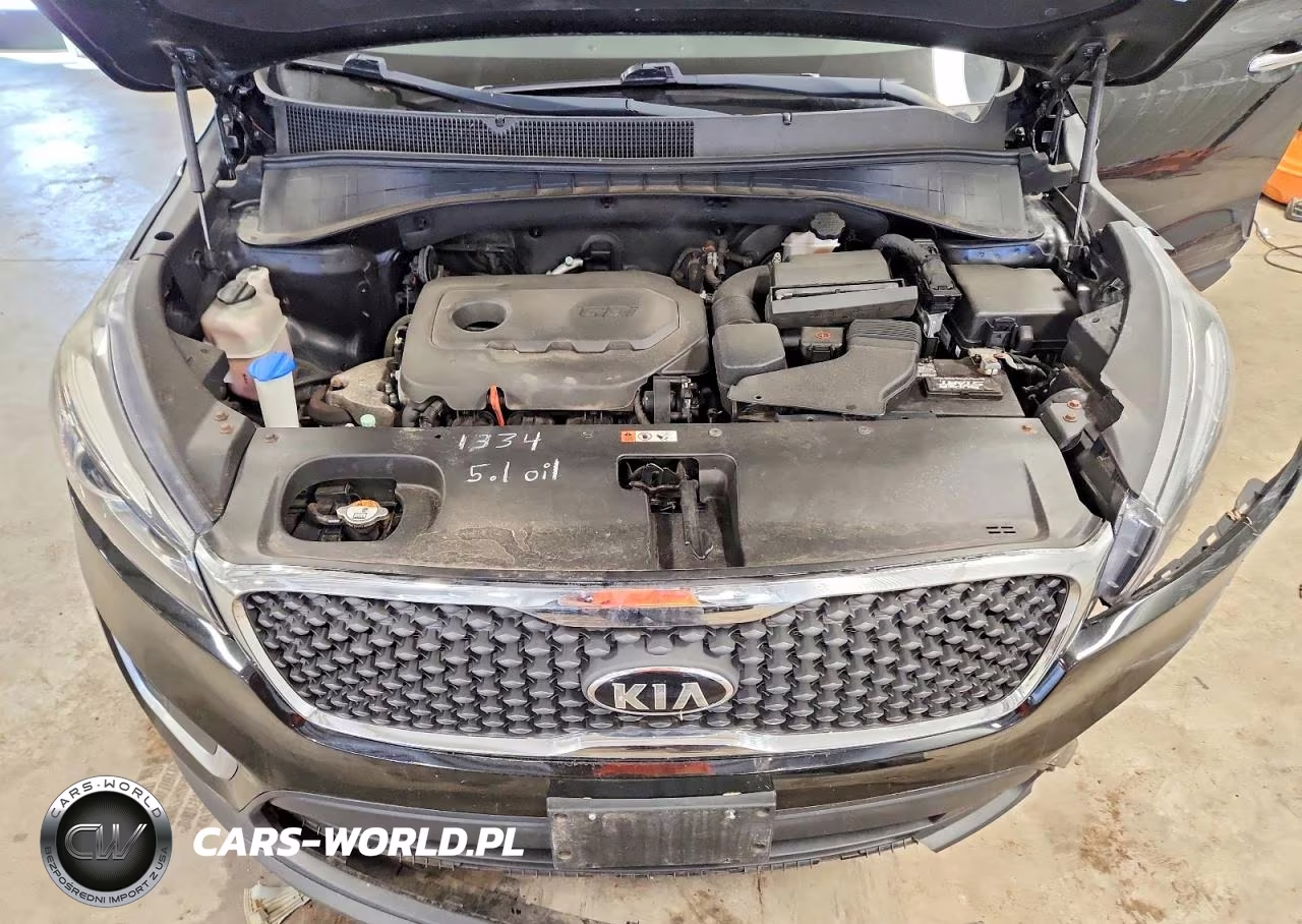 2017 Kia Sorento Lx VIN:5XYPGDA32HG324681 - 11