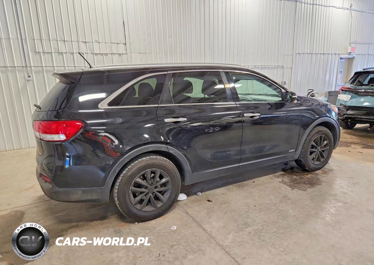 2017 Kia Sorento Lx VIN:5XYPGDA32HG324681 - 3