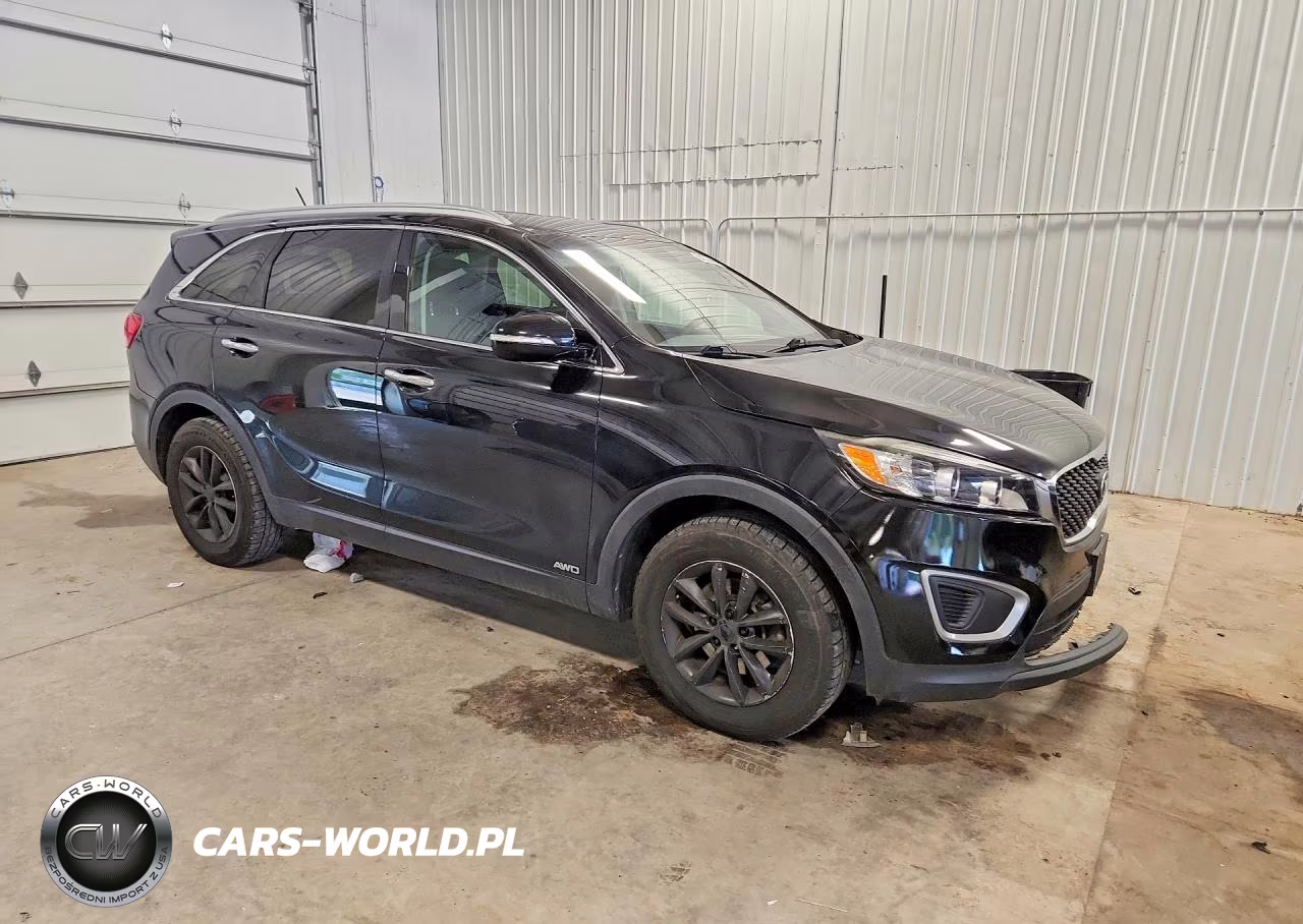 2017 Kia Sorento Lx VIN:5XYPGDA32HG324681 - 4