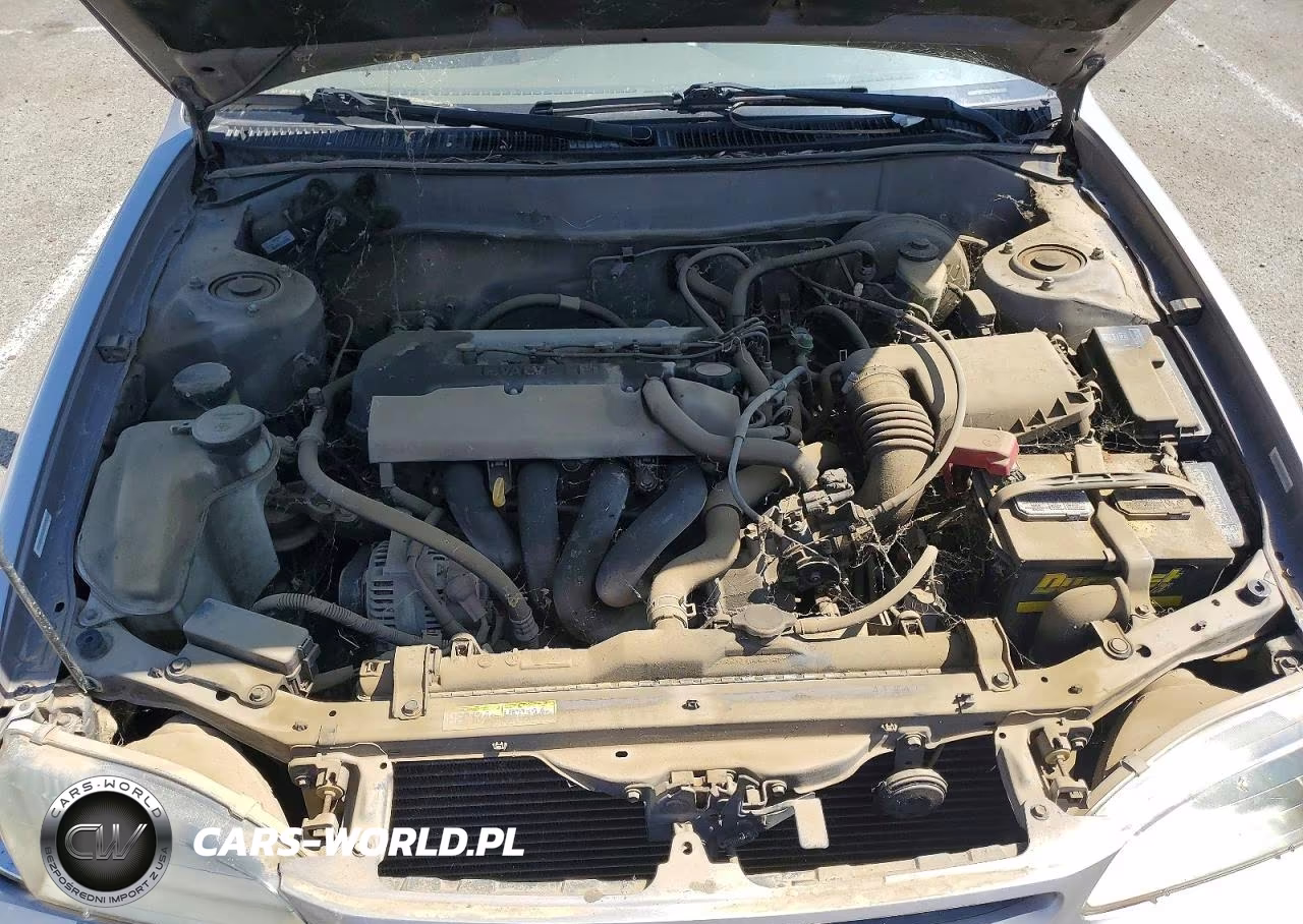 1999 Toyota Corolla Ve VIN:1NXBR12EXXZ247716 - 11