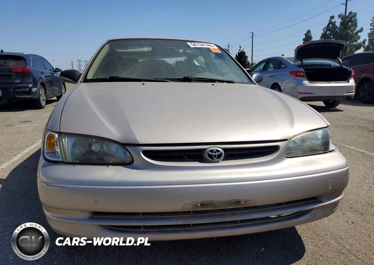 1999 Toyota Corolla Ve VIN:1NXBR12EXXZ247716 - 5
