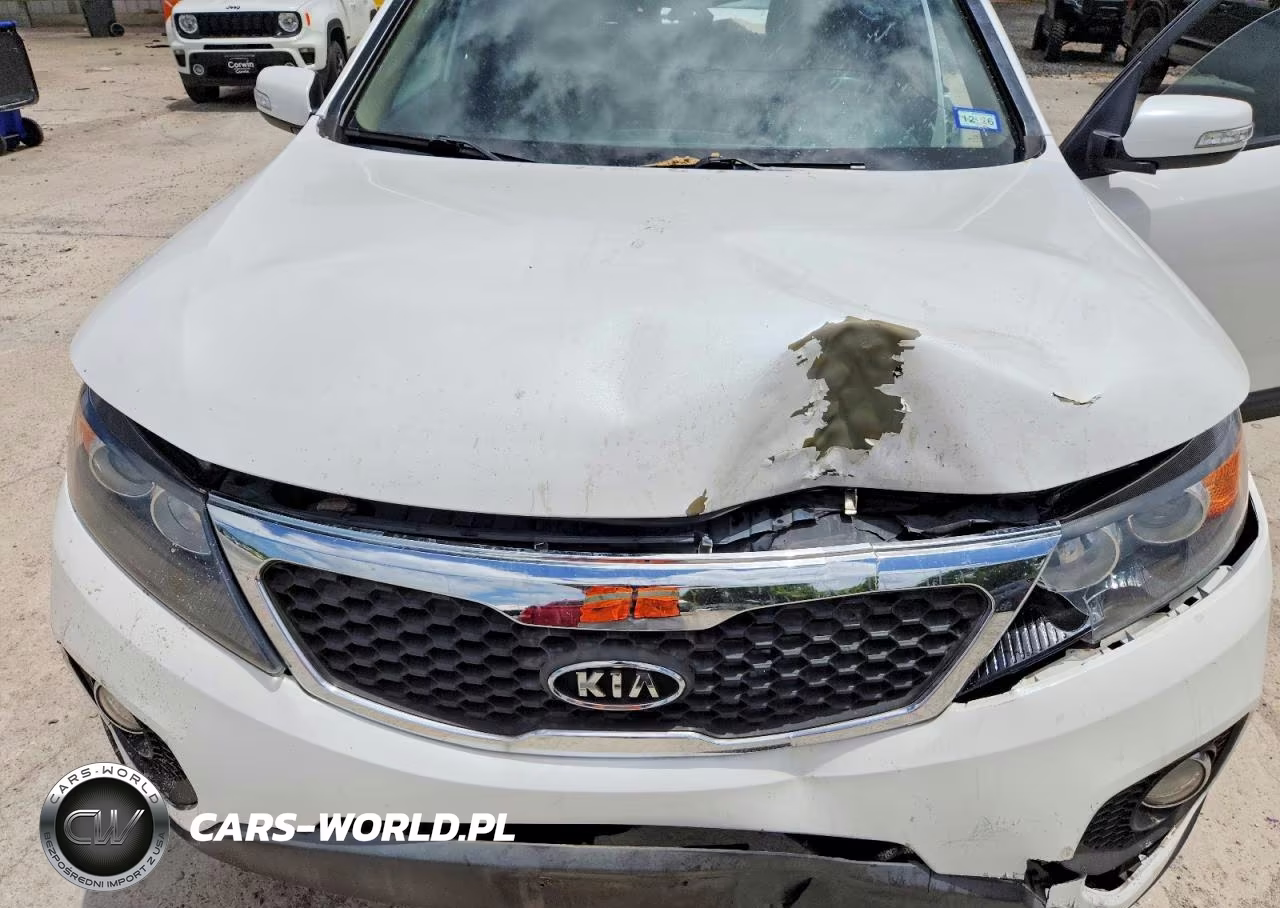 2011 Kia Sorento Lx VIN:5XYKT4A14BG137454 - 11