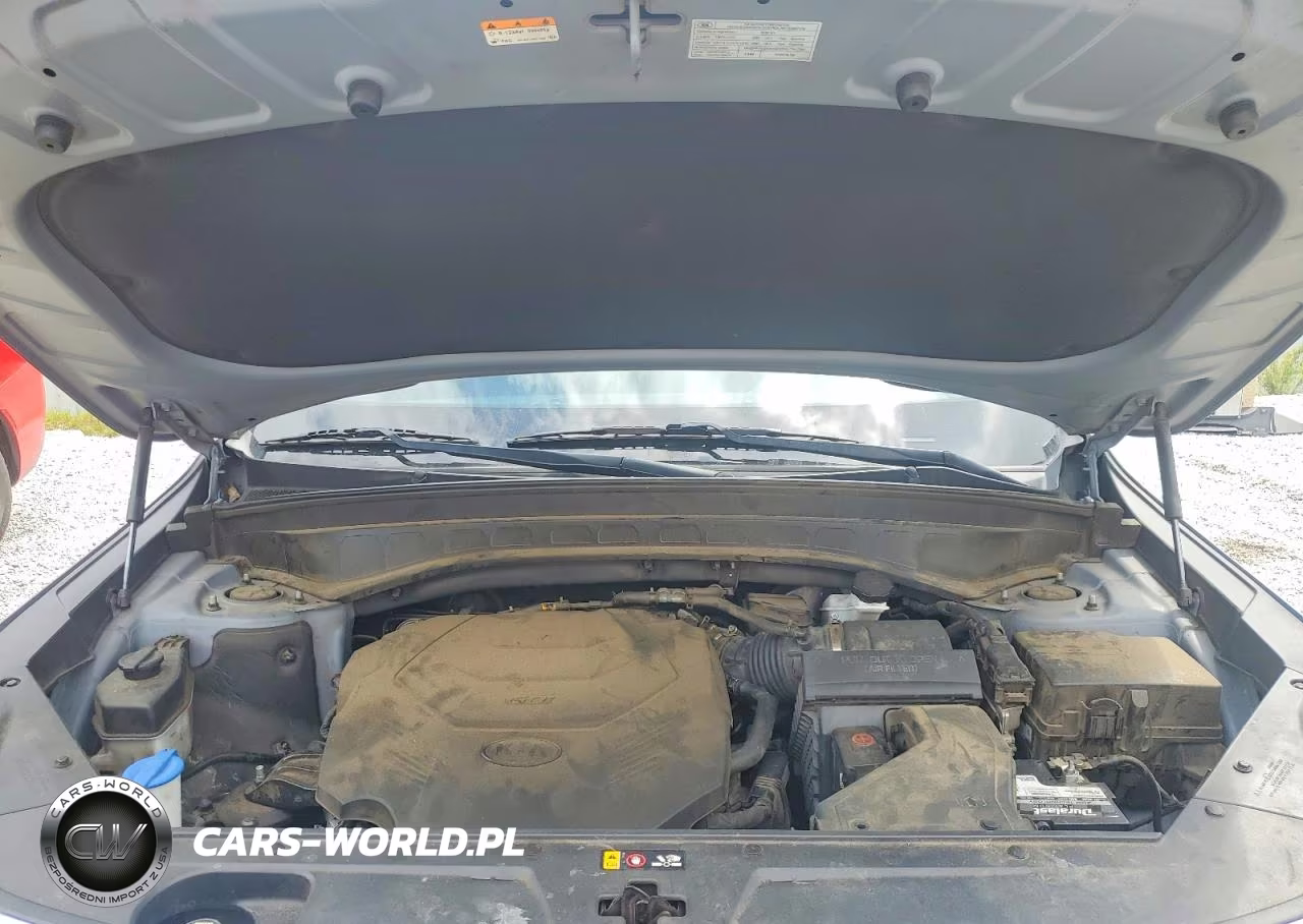 2020 Kia Telluride S VIN:5XYP64HC0LG006317 - 12