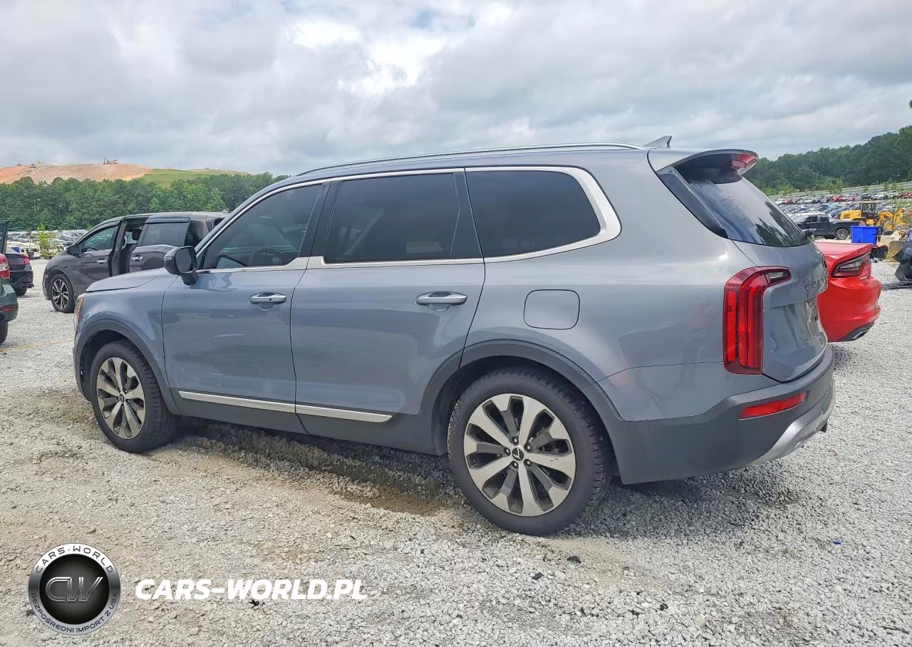 2020 Kia Telluride S VIN:5XYP64HC0LG006317 - 2