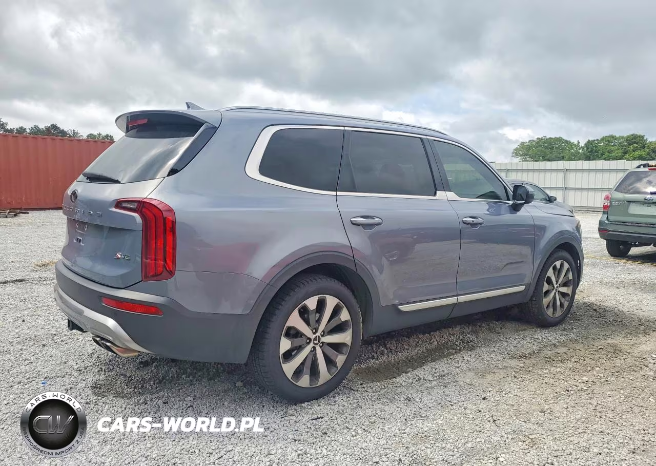 2020 Kia Telluride S VIN:5XYP64HC0LG006317 - 3