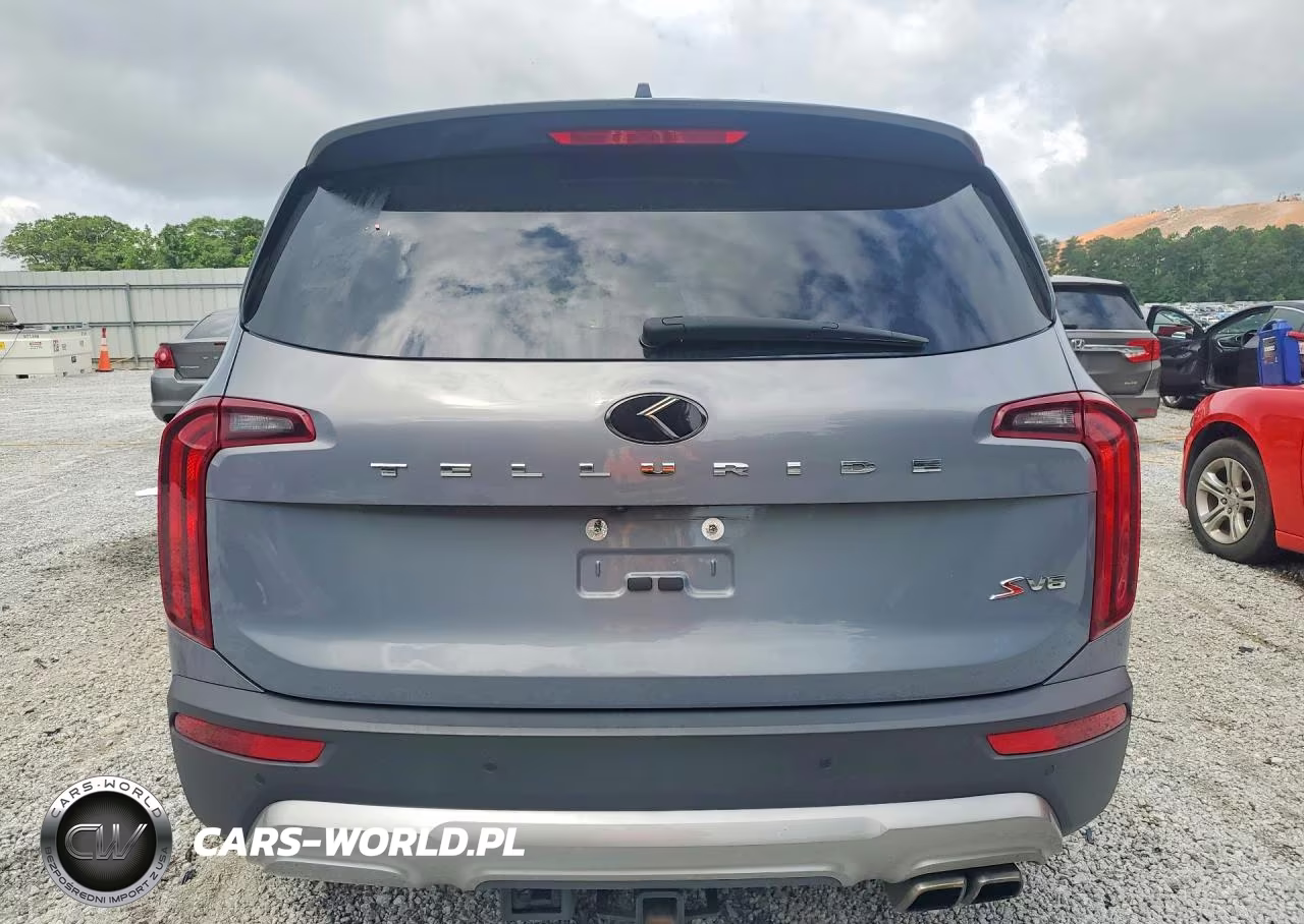 2020 Kia Telluride S VIN:5XYP64HC0LG006317 - 6