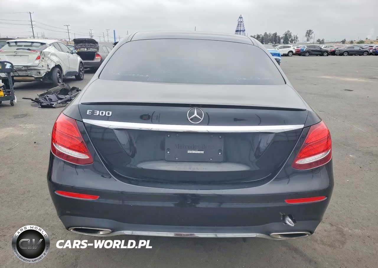 2019 Mercedes-Benz E 300 VIN:WDDZF4JB5KA618205 - 6